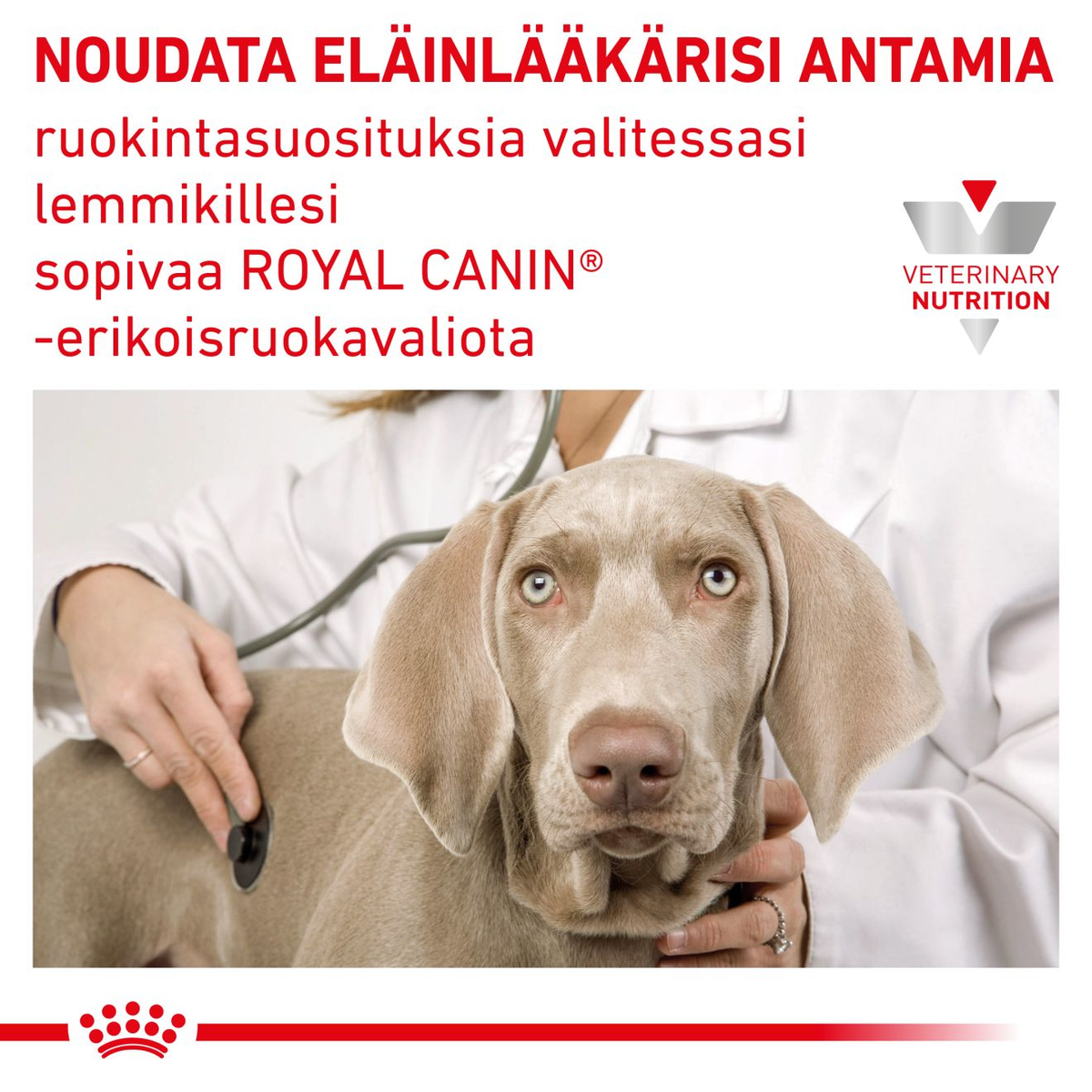 Royal Canin Veterinary Diets Gastrointestinal Recovery Ultra Soft Mousse 195 g