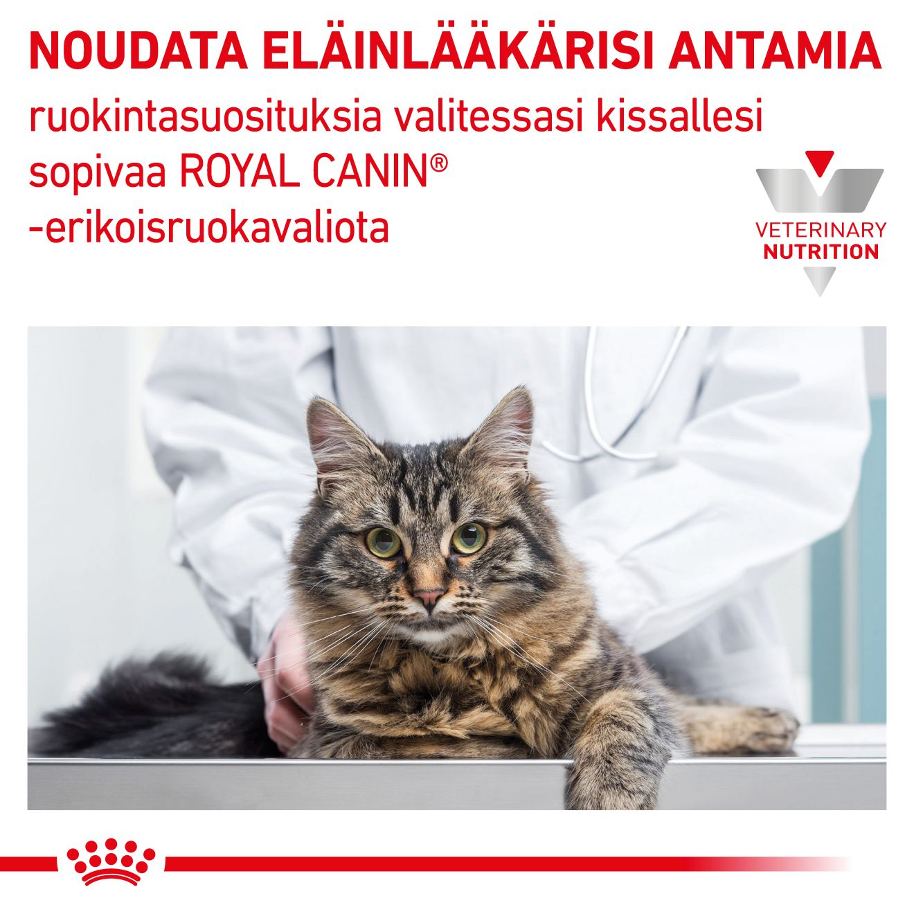 Royal Canin Veterinary Diets Gastrointestinal Kitten Mousse våtfoder 195 g för katter