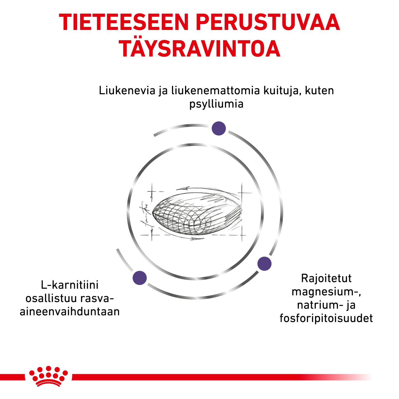 Royal Canin Veterinary Neutered Satiety Balance 400 g för katter