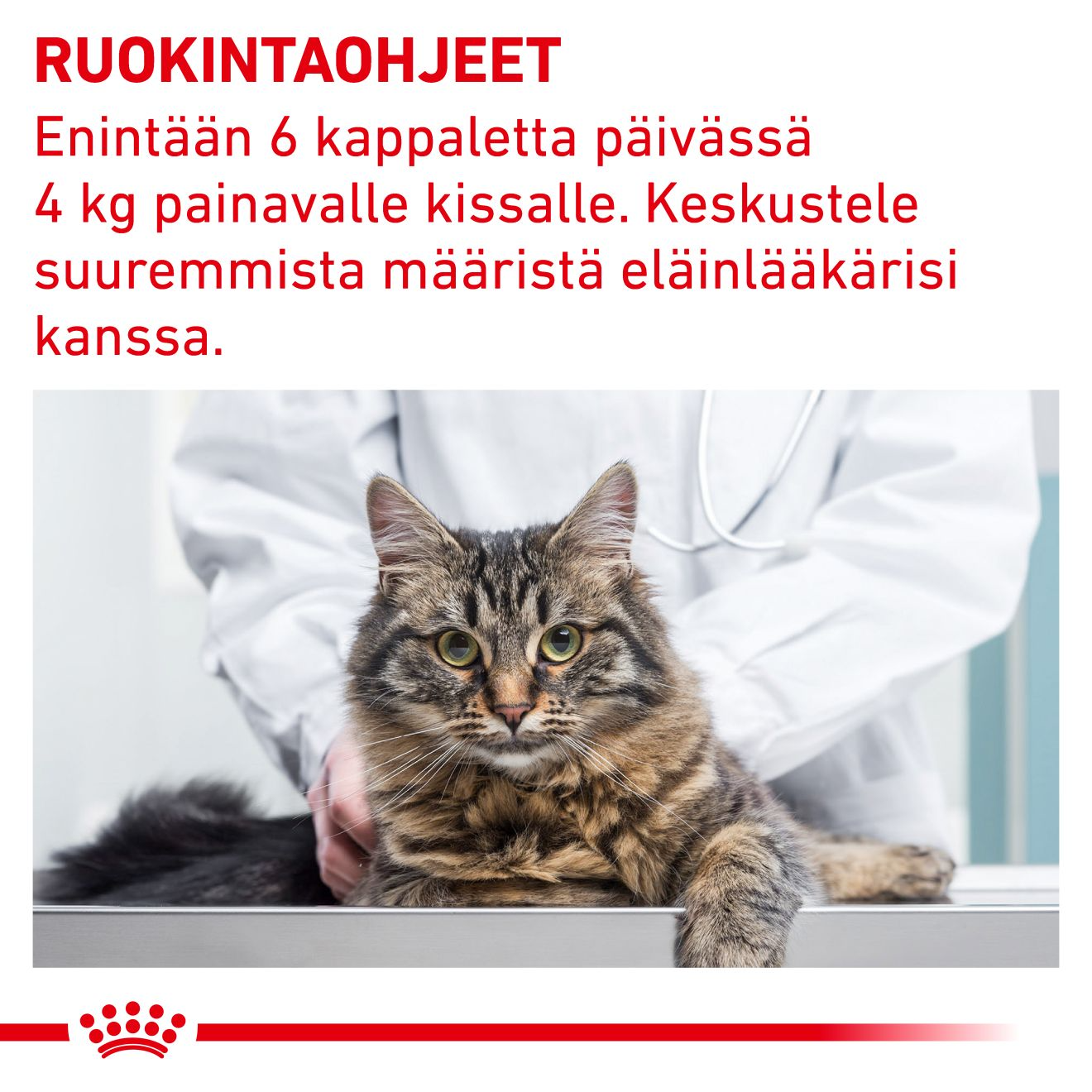 Royal Canin Veterinary Diets Pill Assist katt 45 g