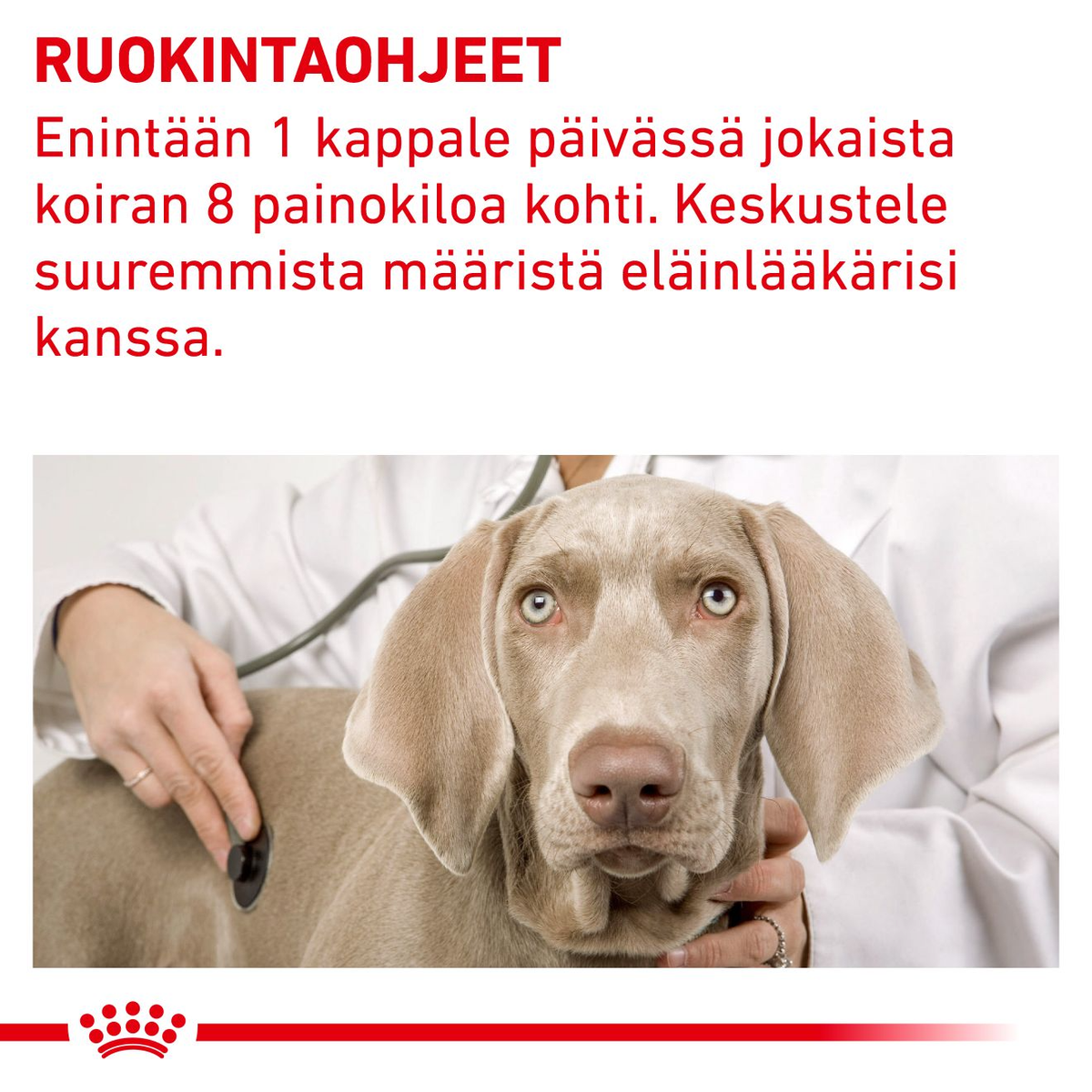 Royal Canin Veterinary Diets Pill Assist Medium/Large Dog Pill assist for dogs 224 g