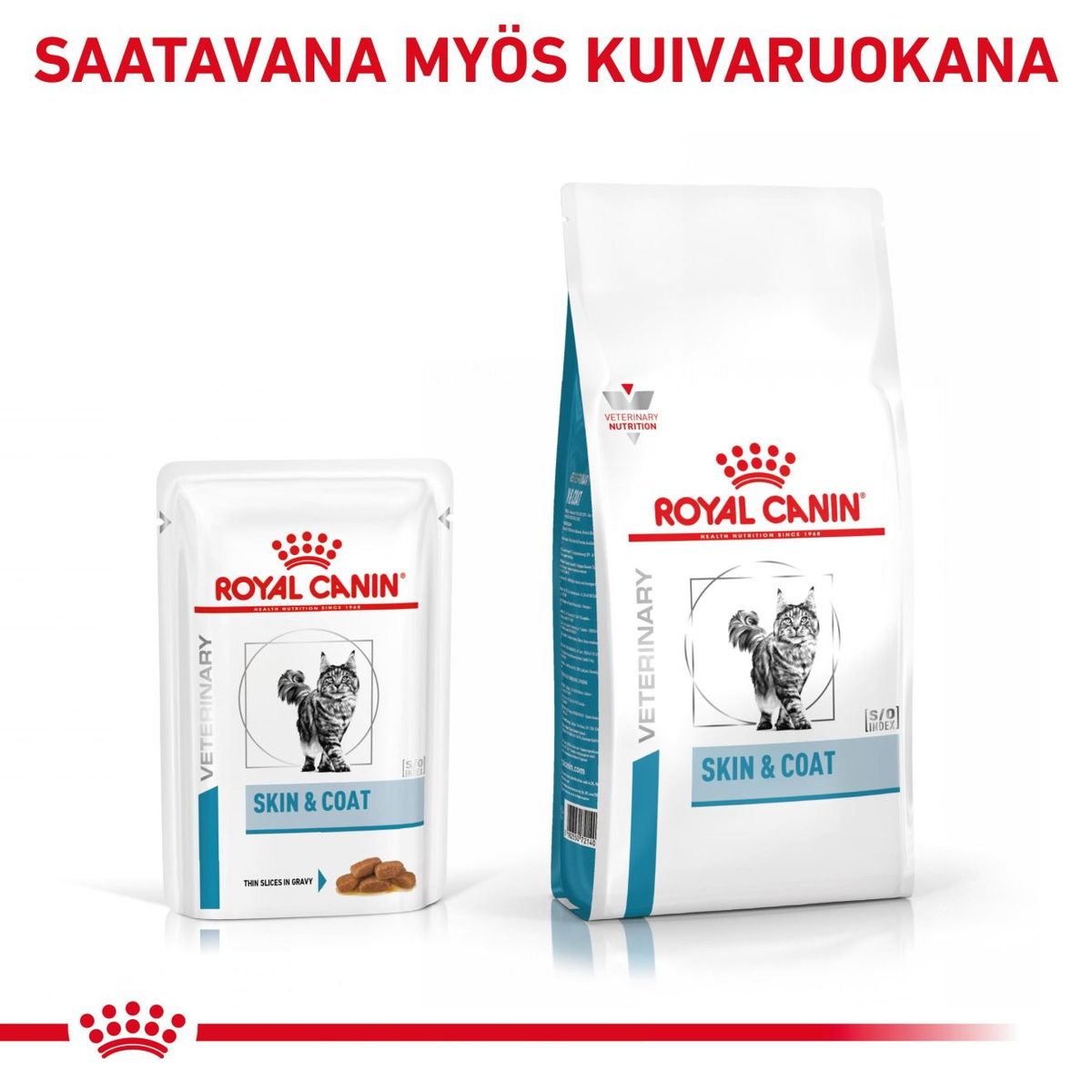 Royal Canin Veterinary Diets Derma Skin & Coat Pouch wet cat food 12 x 85g