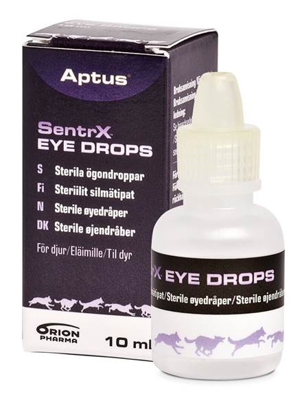 Aptus SentrX Eye Drops niisutavad silmatilgad koertele, kassidele ja hobustele 10 ml
