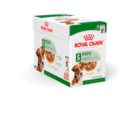 Royal Canin Mini Adult Gravy wet food for dogs 12 x 85 g