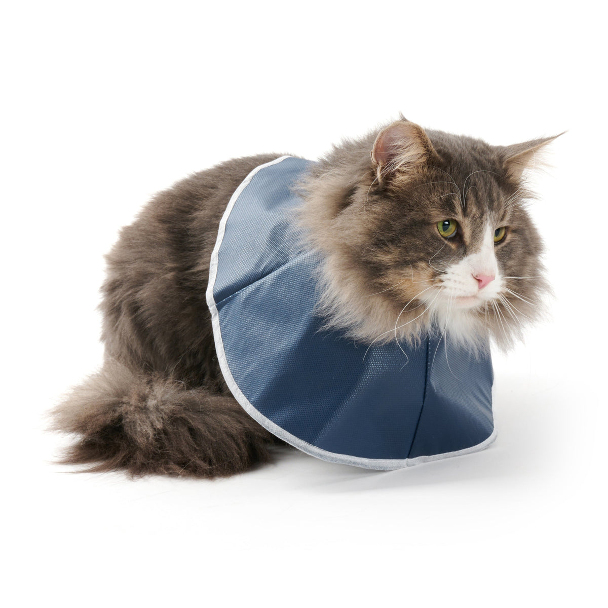 Buster Mjuk Krage för Katt eller Hund