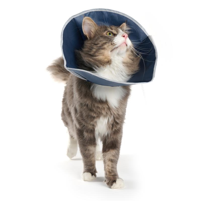 BUSTER Soft Collar pehme taastumiskrae kassidele ja väikestele koertele