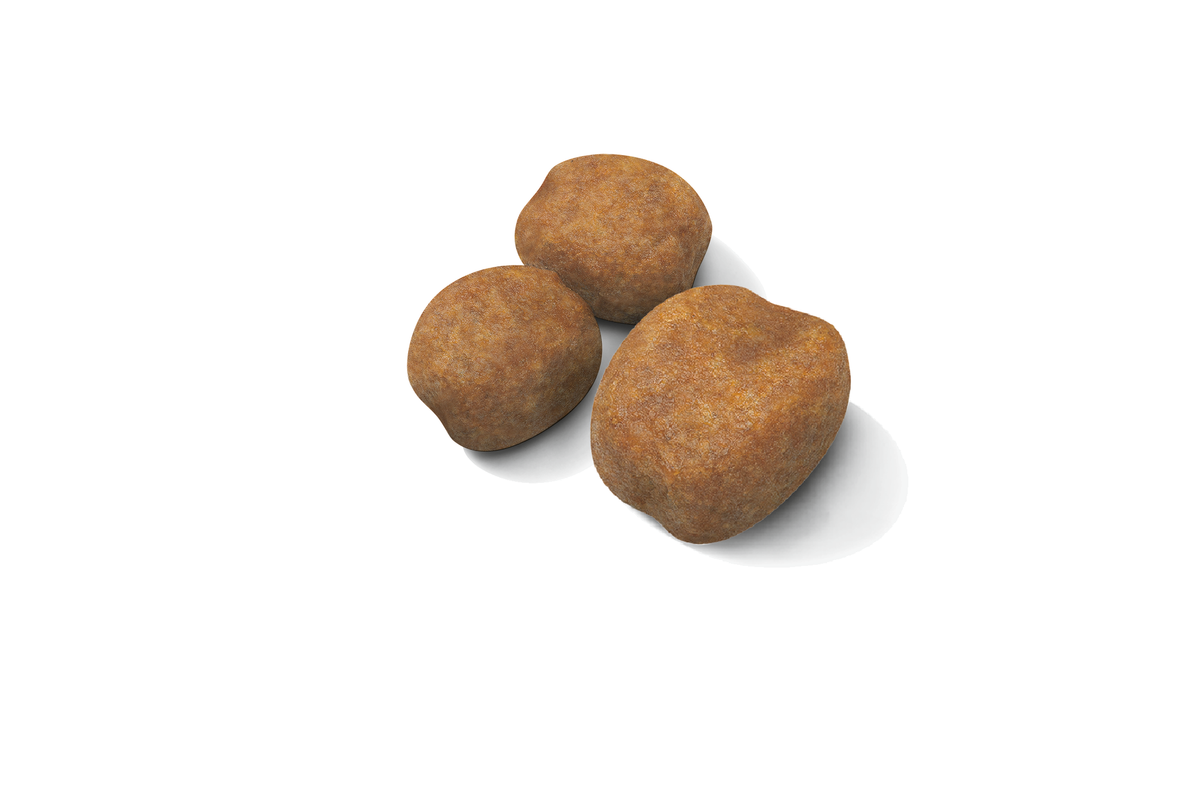 Royal Canin Giant Puppy dry food for puppies 3.5 kg