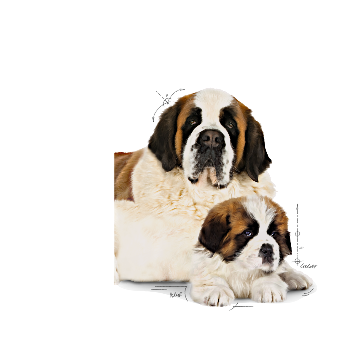 Royal Canin Giant Starter dry food for puppies 15 kg