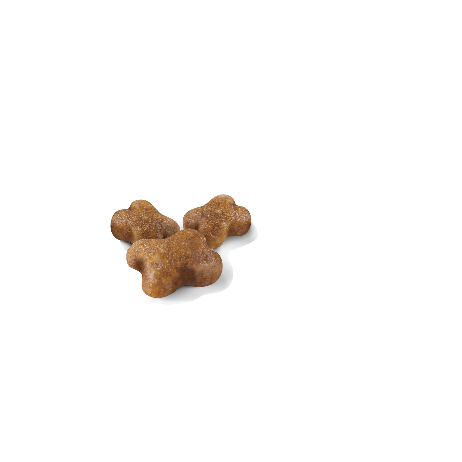 Royal Canin Kitten 4 kg för katter
