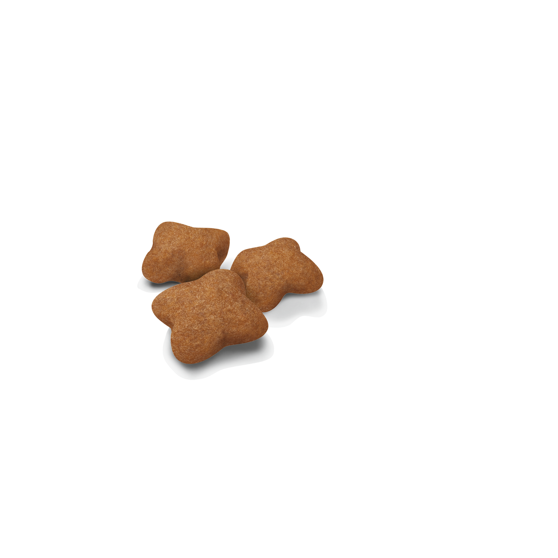 Royal Canin Kitten Sterilised 2 kg för kattungar