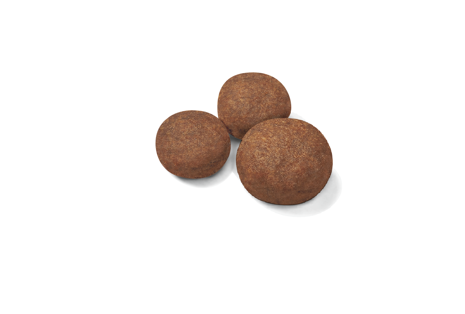 Royal Canin Medium Puppy dry food for puppies 10 kg