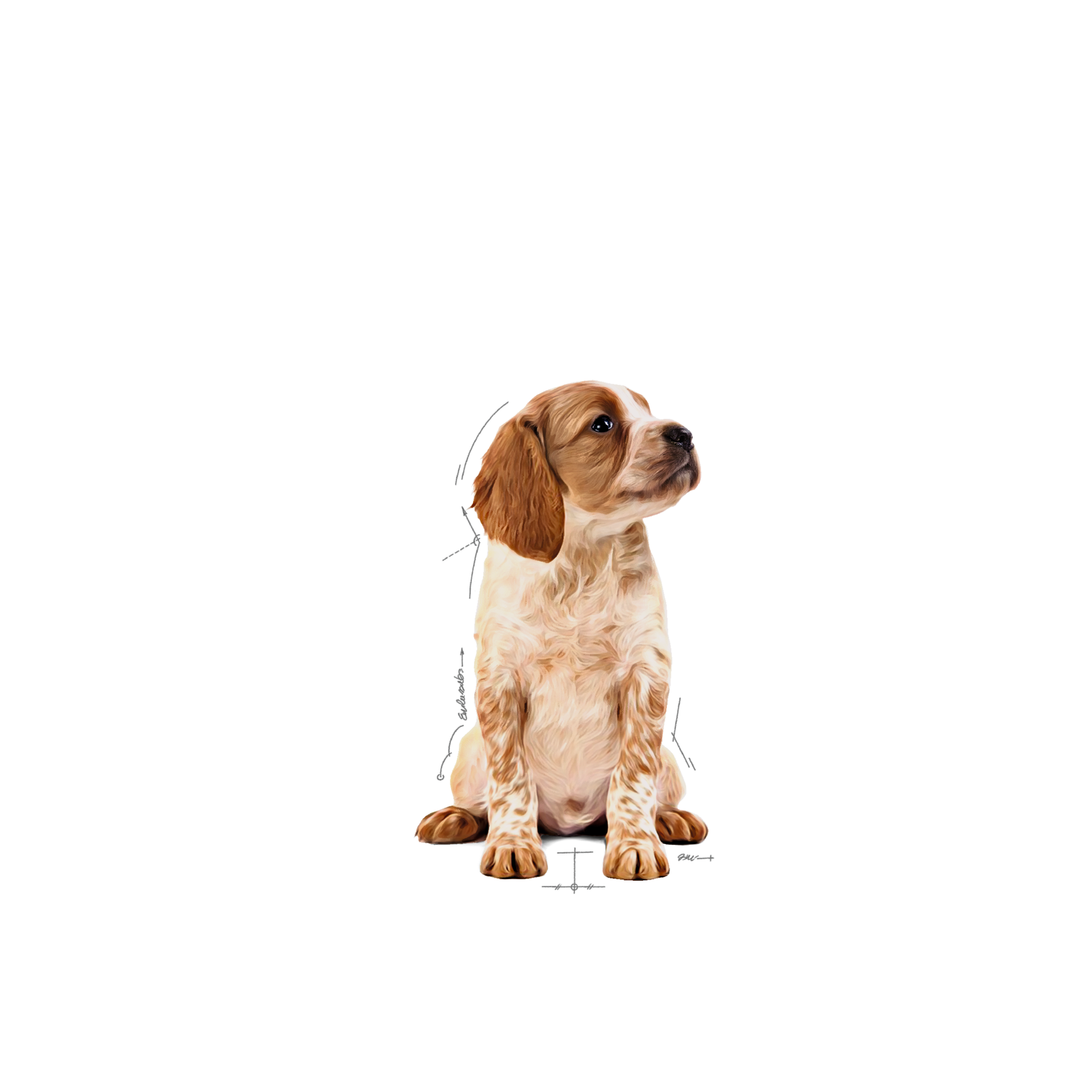 Royal Canin Medium Puppy Gravy våtfoder för hundvalp. 10 x 140 g