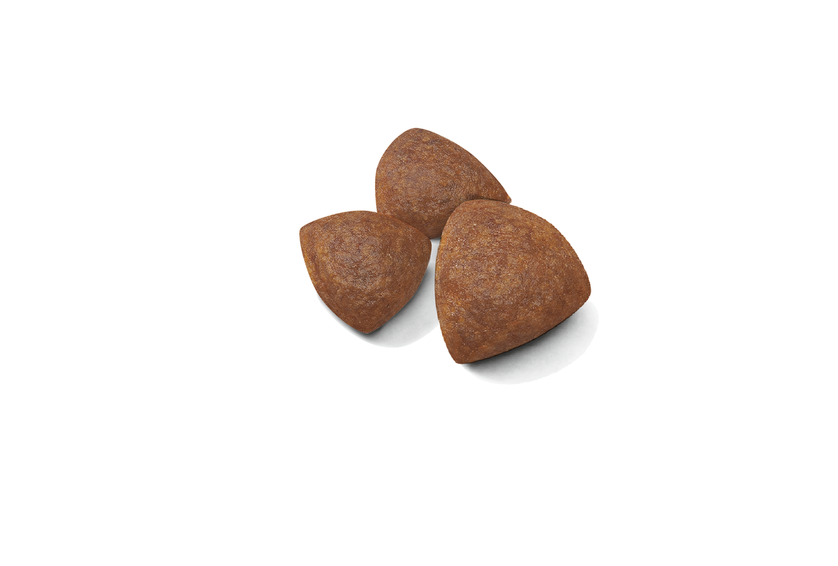 Royal Canin Medium Starter