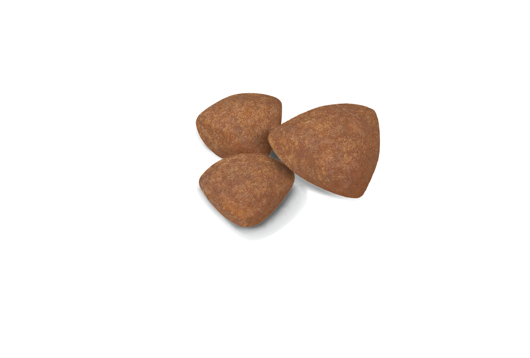 Royal Canin Mini Puppy dry food for puppies 2 kg