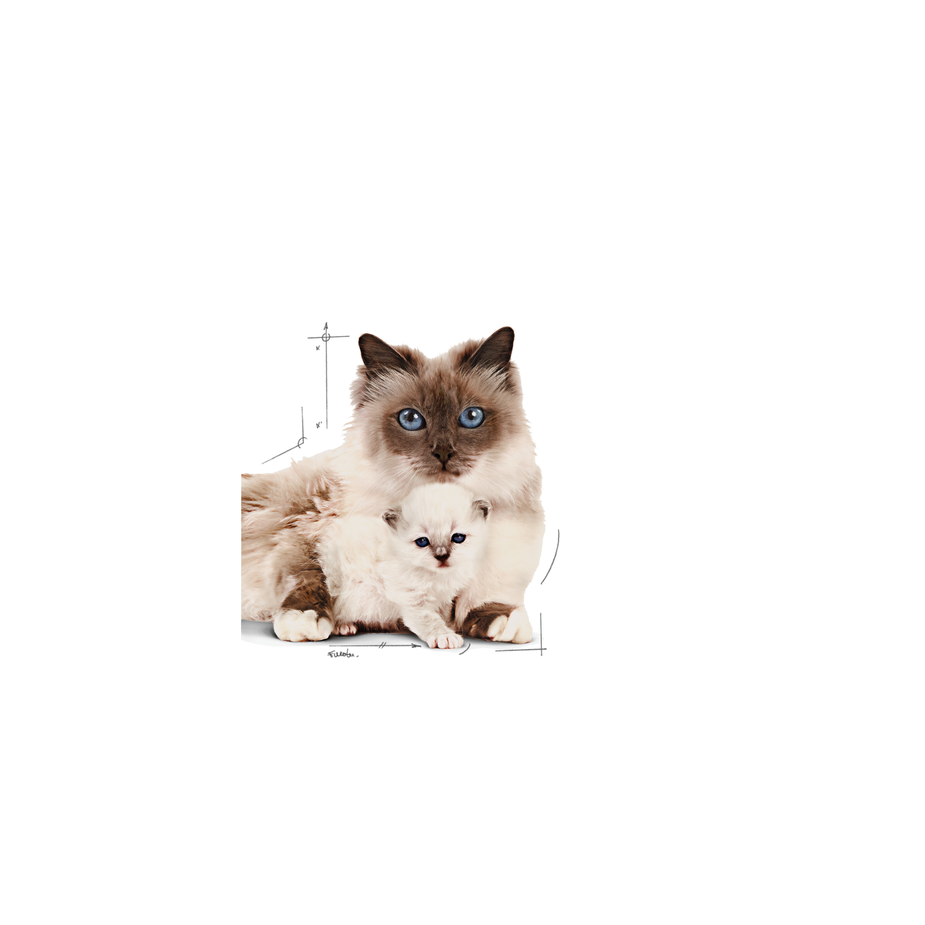 Royal Canin Mother & Babycat Mousse 195 g
