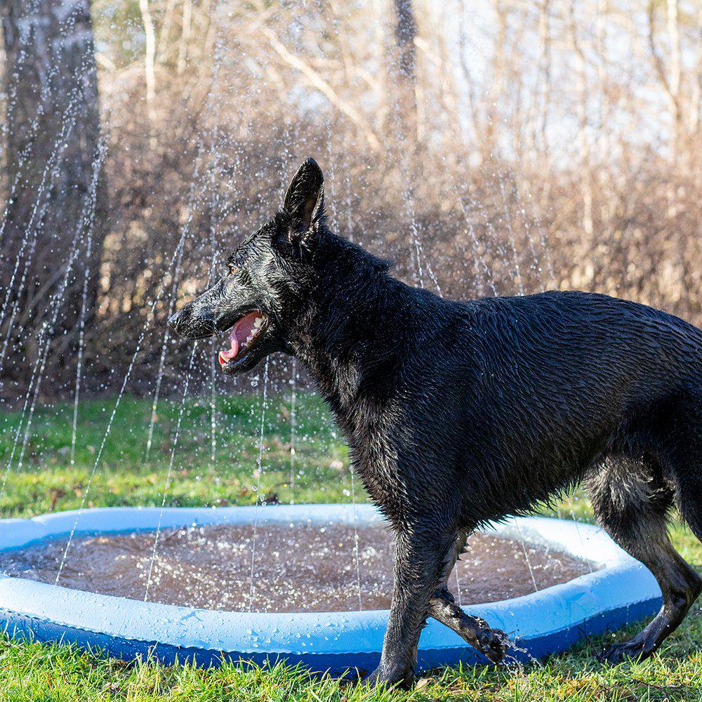 Ozami Dog Splash Pool Ø 150 cm Blå
