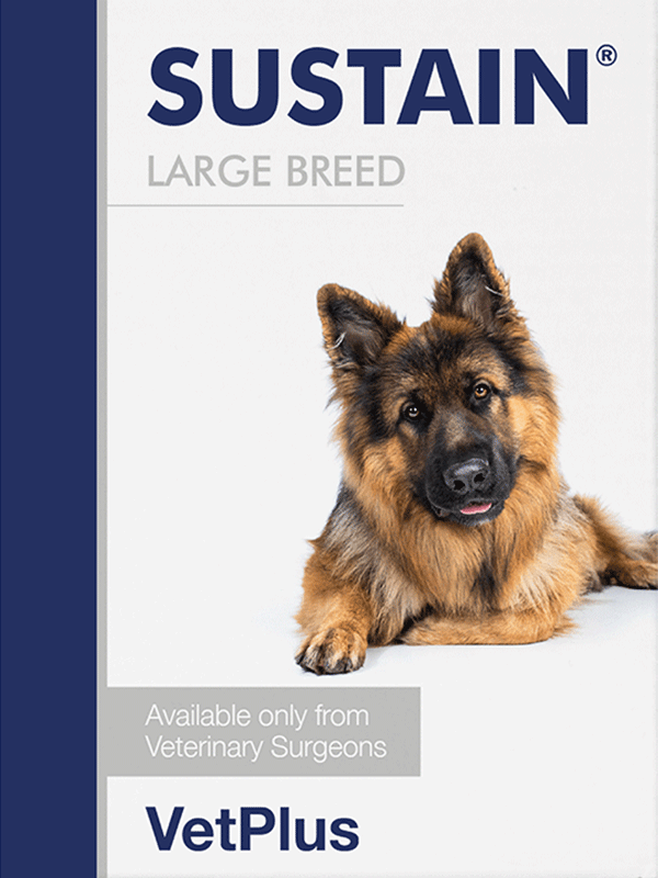 Vetplus Sustain Large Breed för hundar 30 x 5,4 g