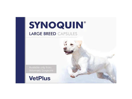 Vetplus Synoquin Large Breed capsule for dogs 30 pcs
