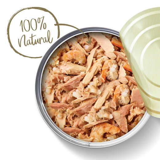 Applaws Cat Tuna Fillet & Prawn Can 70 g