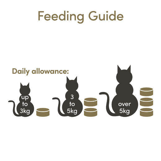 Applaws Cat Tuna Fillet & Prawn Can 70 g
