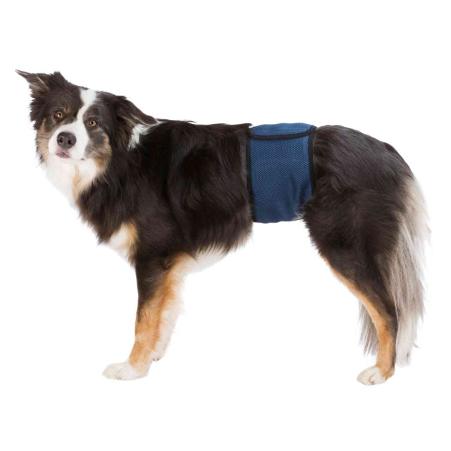 Trixie Male Belt