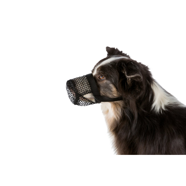 Trixie mesh nosparti för hund