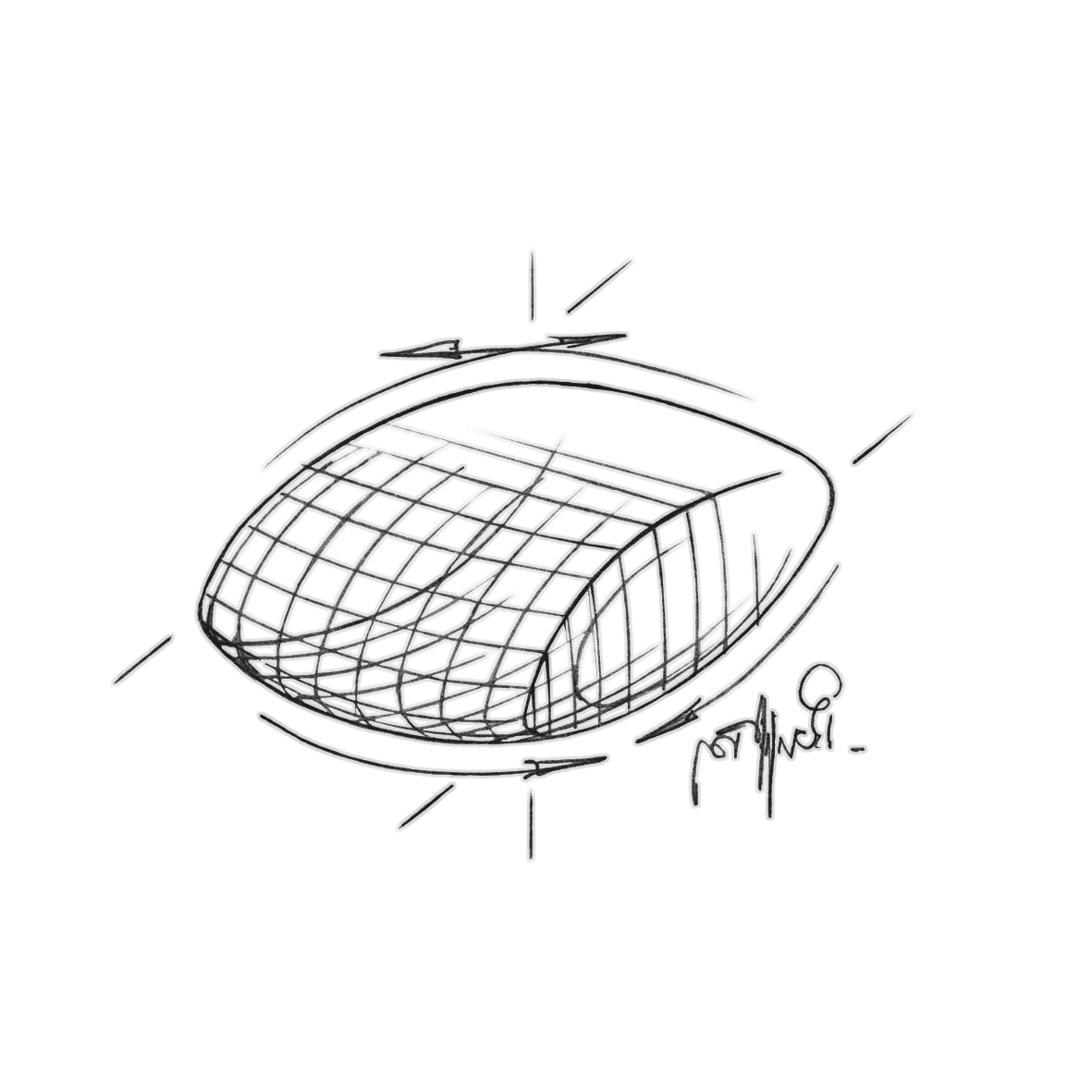 Royal Canin Veterinary Diets Vital Early Renal dry food for dogs 2 kg