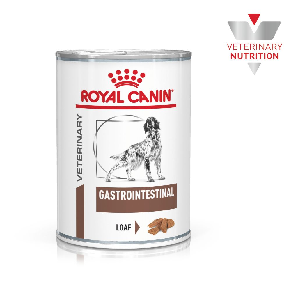 Royal Canin Veterinary Diets Gastrointestinal Loaf Can wet food for dogs 400 g
