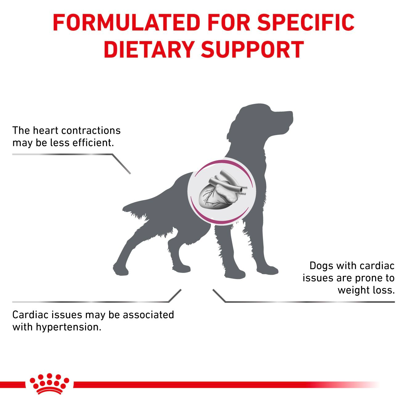 Royal Canin Veterinary Diets Vital Cardiac torrfoder för hund 7,5 kg