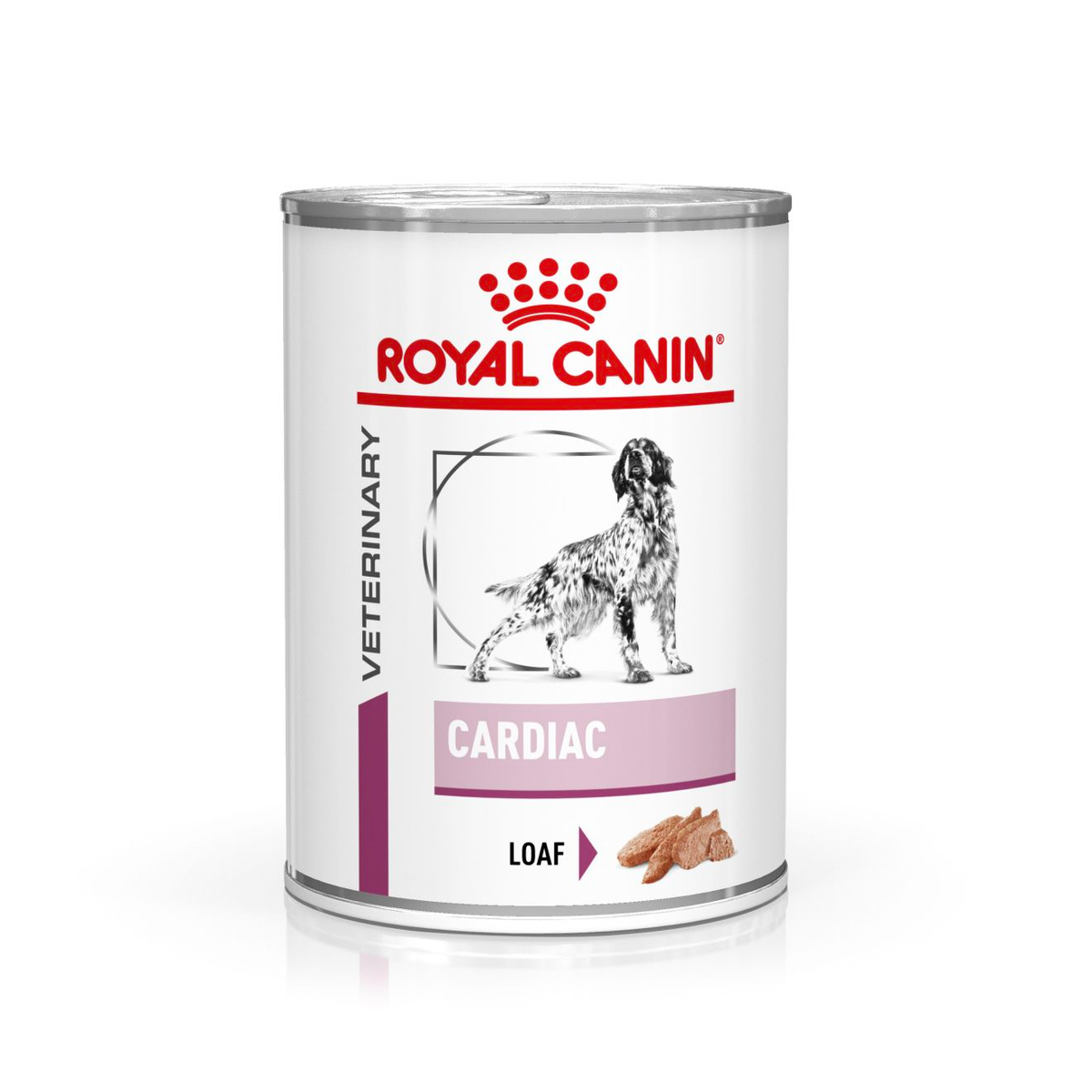 Royal Canin Veterinary Diets Vital Cardiac Loaf dog wet food 200 g