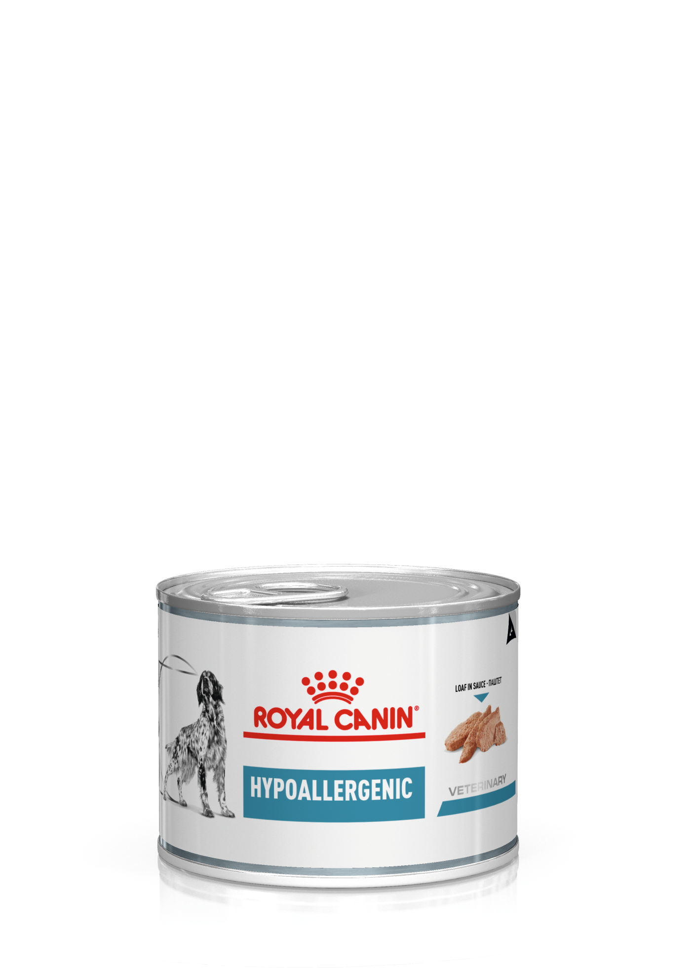 Royal Canin Veterinary Diets Derma Hypoallergenic Loaf Can wet food for dogs 200g