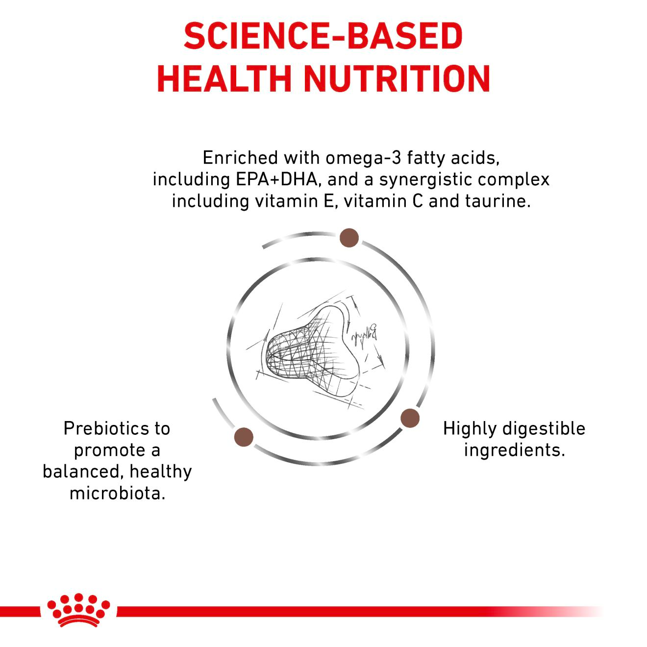 Royal Canin Veterinary Diets Gastrointestinal Fiber Response dry food for cats 4 kg