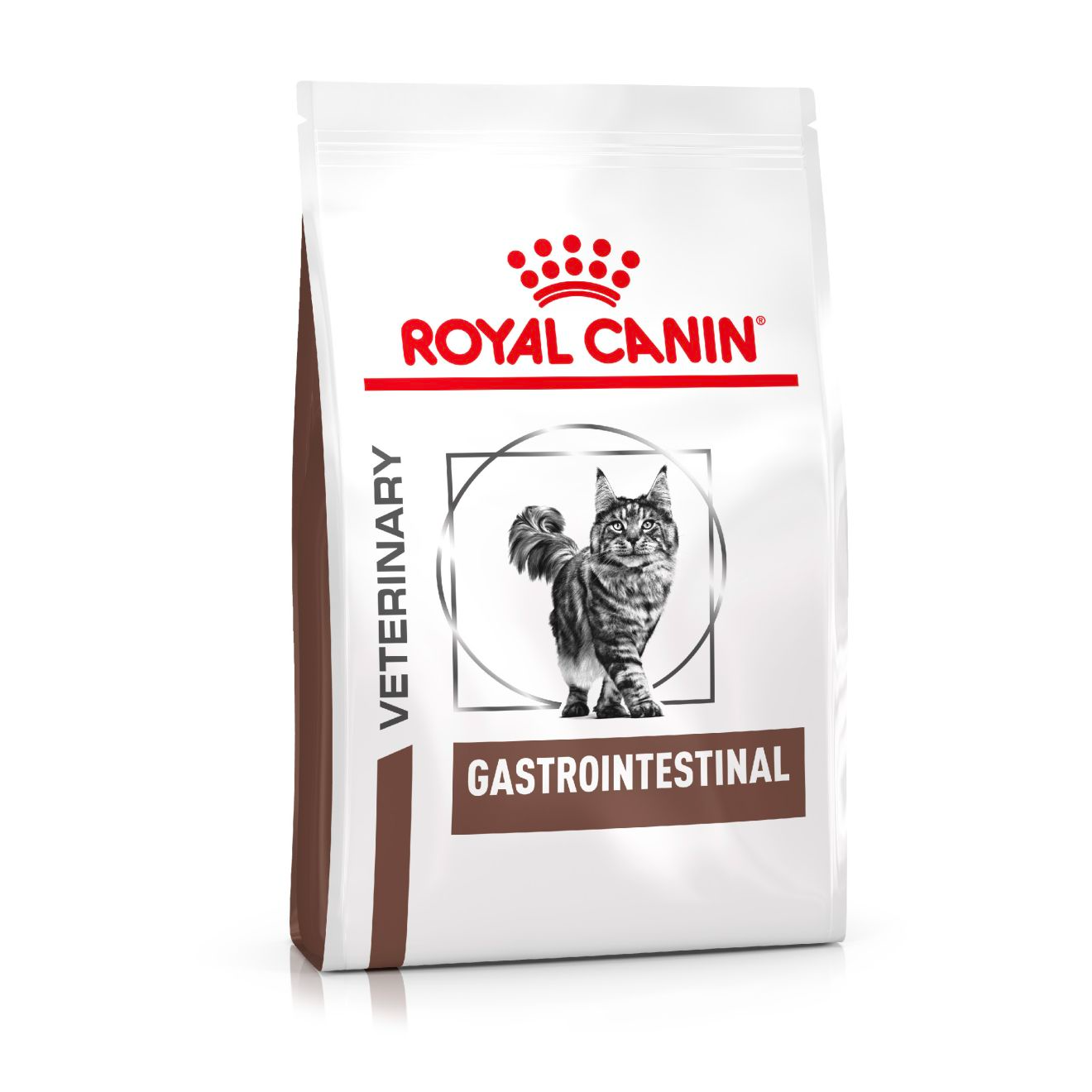 Royal Canin Veterinary Diets Gastrointestinal kuivtoit kassidele 4 kg