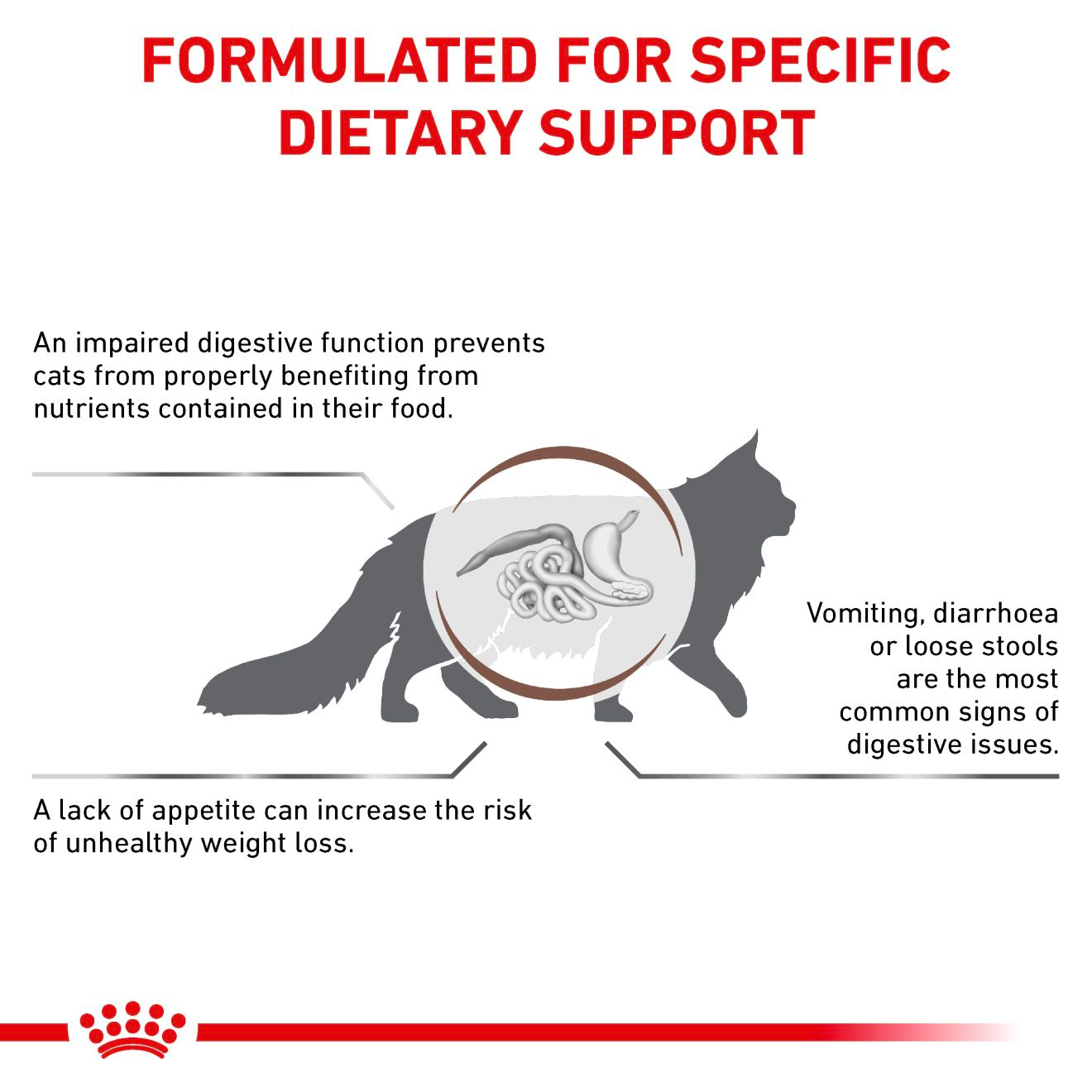 Royal Canin Veterinary Diets Gastrointestinal kuivtoit kassidele 4 kg