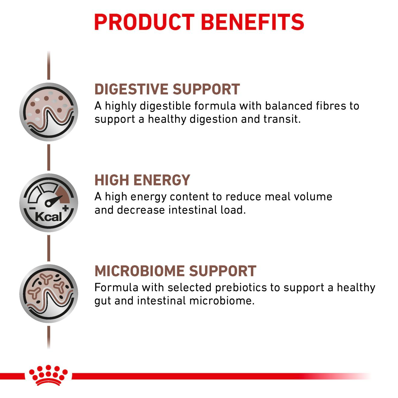 Royal Canin Veterinary Diets Gastrointestinal kuivtoit kassidele 400 g