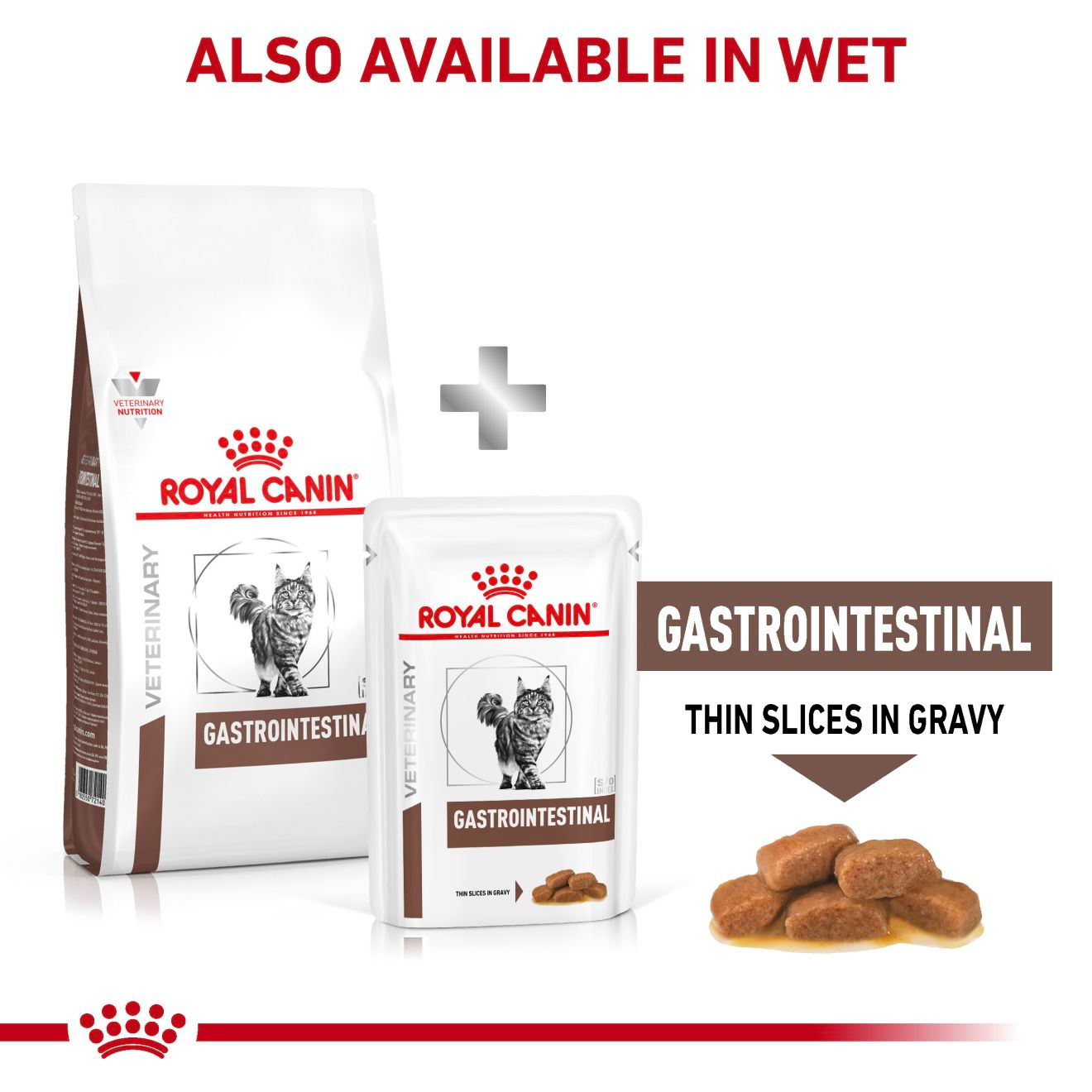 Royal Canin Veterinary Diets Gastrointestinal kuivtoit kassidele 400 g