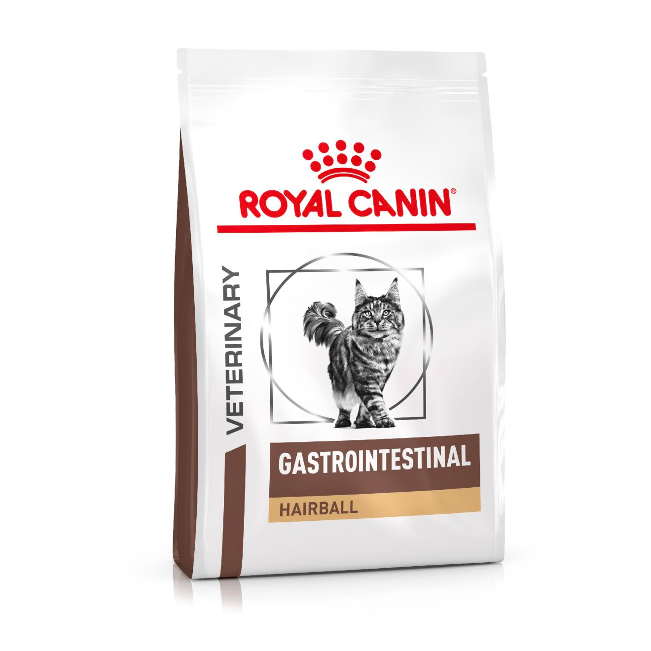 Royal Canin Veterinary Diets Gastrointestinal Hairball kuivtoit kassidele 4 kg