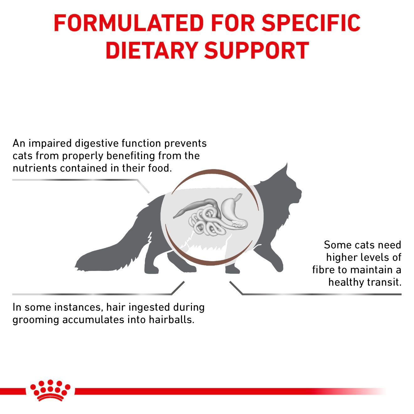 Royal Canin Veterinary Diets Gastrointestinal Hairball kuivtoit kassidele 4 kg