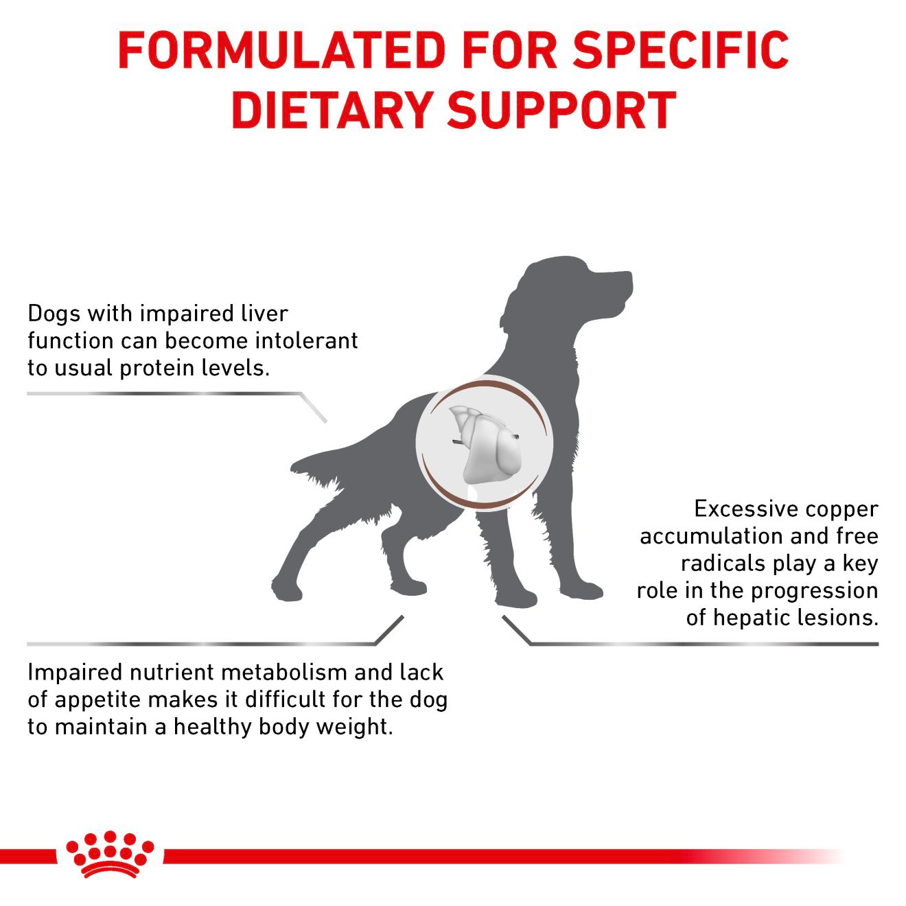 Royal Canin Veterinary Diets Gastrointestinal Hepatic dry food for dogs 1.5 kg