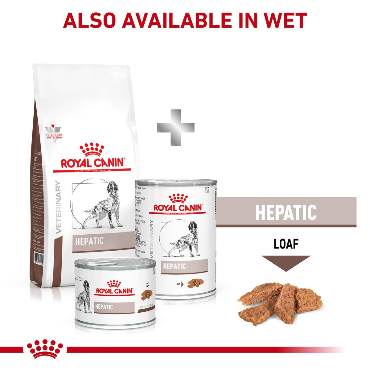 Royal Canin Veterinary Diets Gastrointestinal Hepatic dry food for dogs