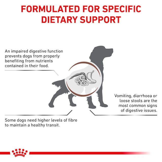 Royal Canin Veterinary Diets Gastrointestinal High Fibre Loaf 200 g för hundar