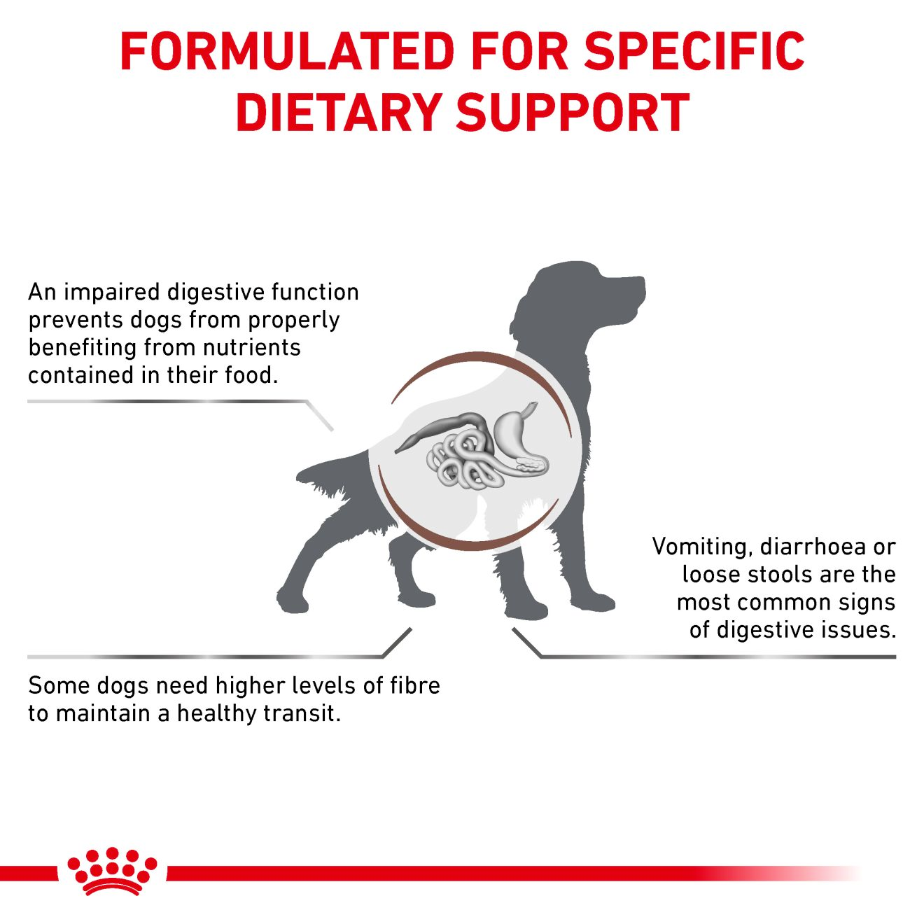Royal Canin Veterinary Diets Gastrointestinal High Fibre torrfoder för hund 2 kg