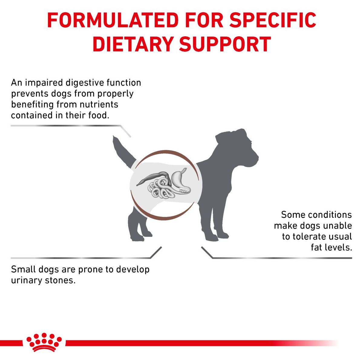 Royal Canin Veterinary Diets Gastrointestinal Low Fat Small Dog dry dog food