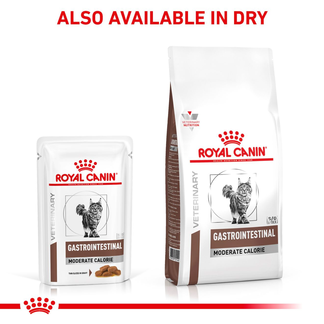Royal Canin Veterinary Diets Gastrointestinal Moderate Calorie märgtoit kassidele 12 x 85 g MULTIPAKK