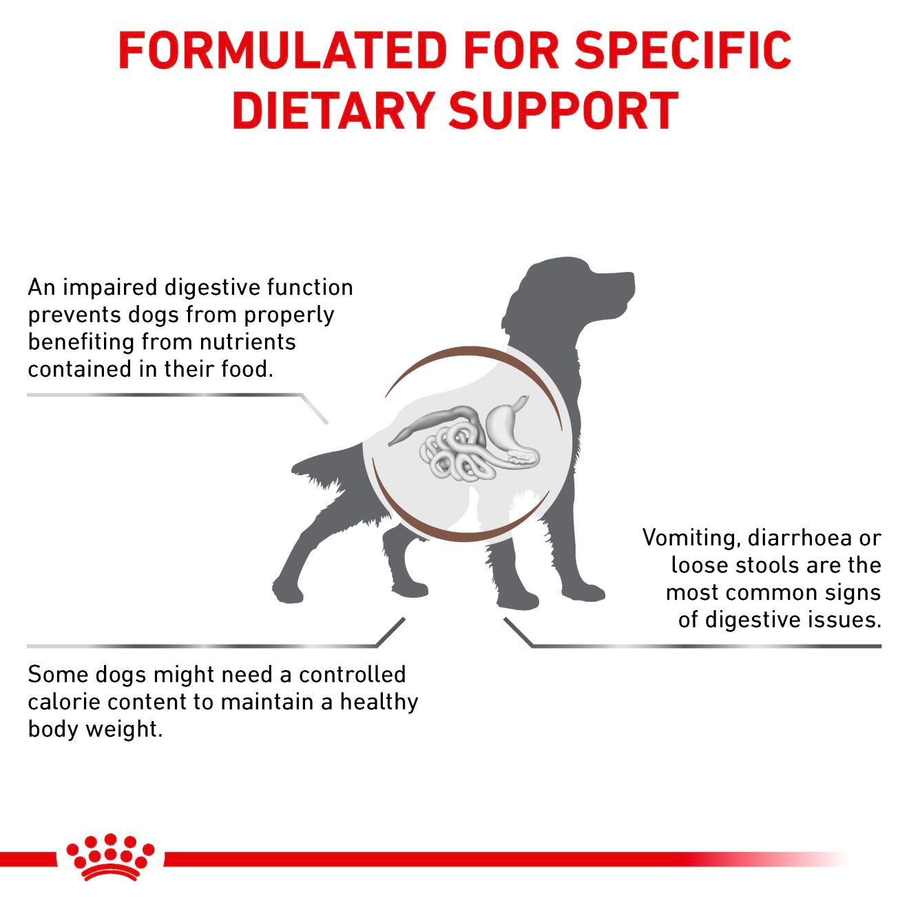 Royal Canin Veterinary Diets Gastrointestinal Moderate Calorie torrfoder för hund 7,5 kg