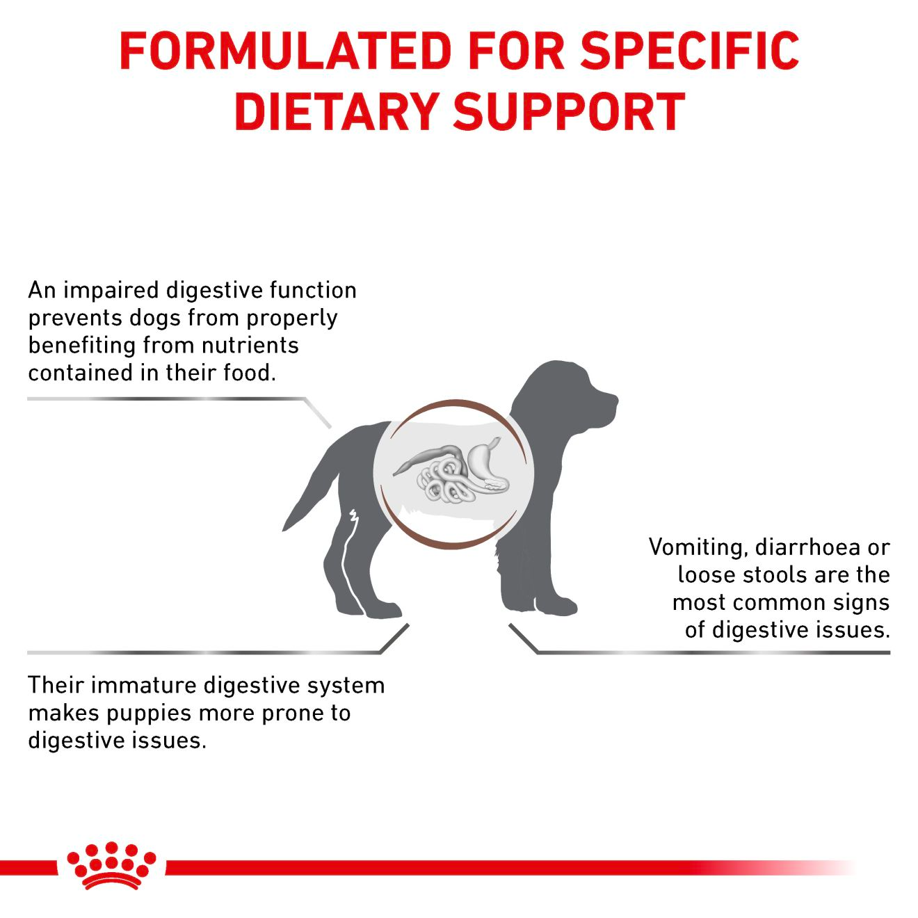 Royal Canin Veterinary Diets Gastrointestinal Puppy torrfoder för hund 10 kg