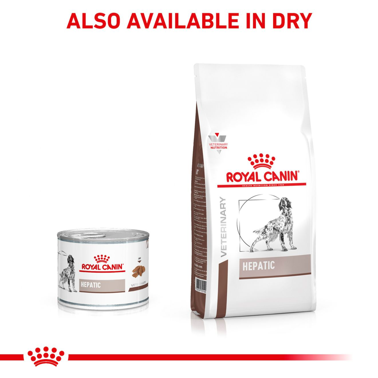 Royal Canin Veterinary Diets Gastrointestinal Hepatic Loaf Can 420g wet food for dogs 420 g