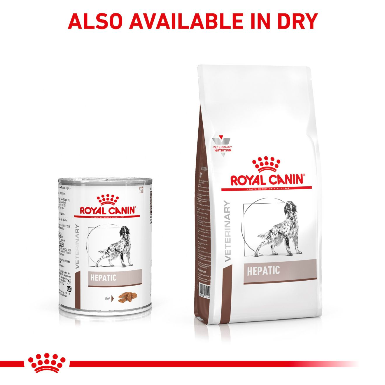 Royal Canin Veterinary Diets Gastrointestinal Hepatic Loaf Can 420g wet food for dogs 420 g