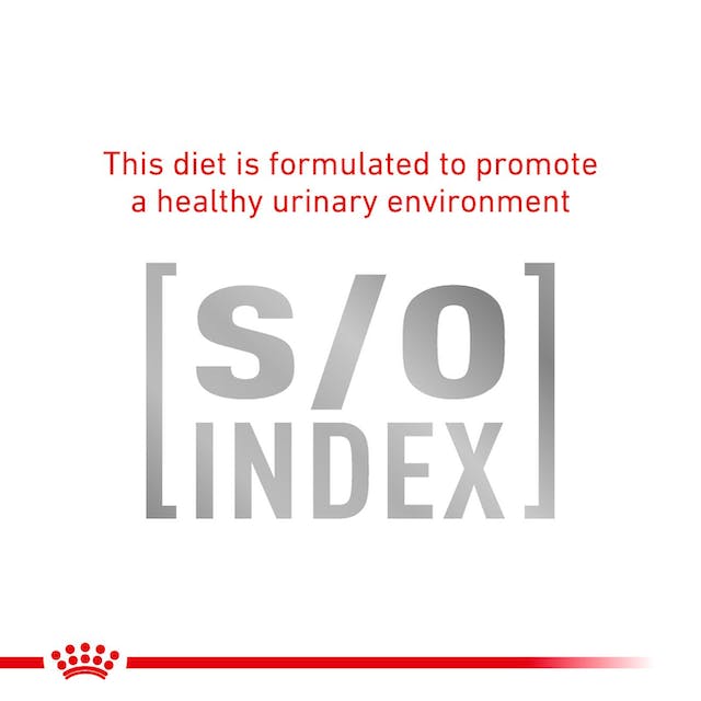 Royal Canin Veterinary Diets Gastrointestinal Fibre Response Gravy Pouch våtfoder för katt 85 g