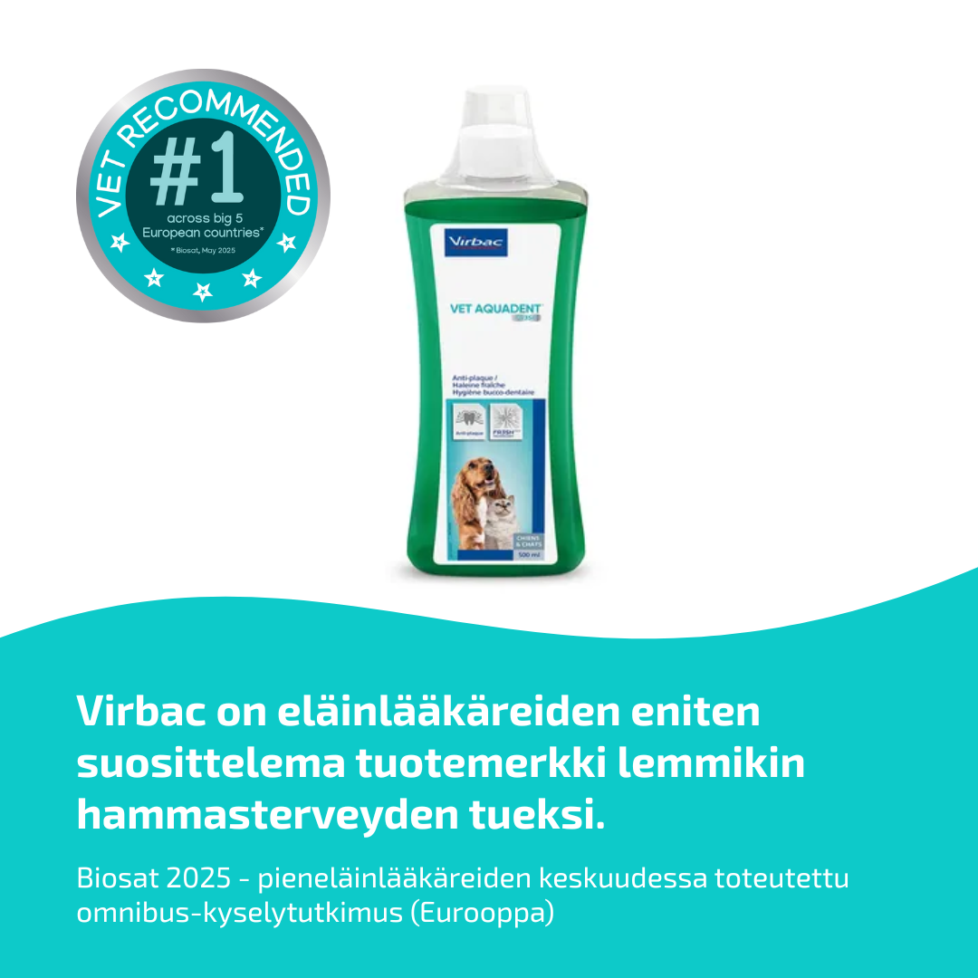 Vet Aquadent FR3SH anti-placklösning för hund och katt 500 ml